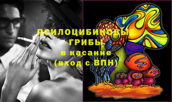 дурь Осинники