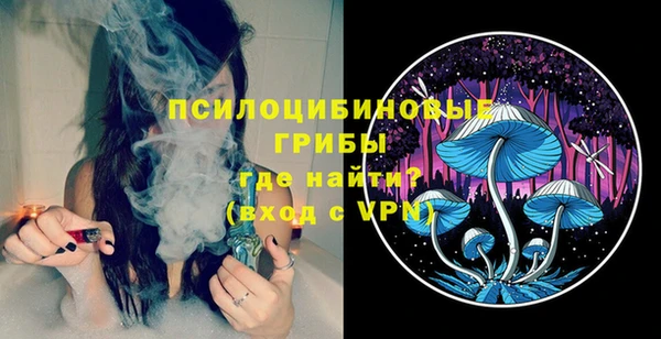 spice Осташков