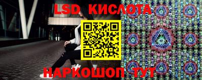 тгк Кингисепп