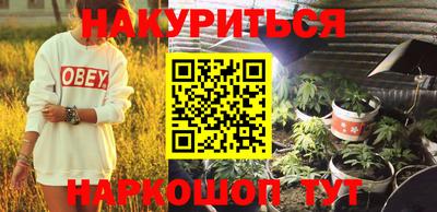 тгк Кингисепп
