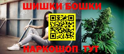 тгк Кингисепп