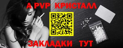 тгк Кингисепп