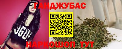 тгк Кингисепп
