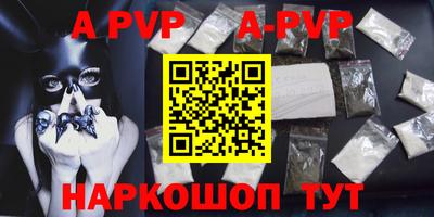 тгк Кингисепп