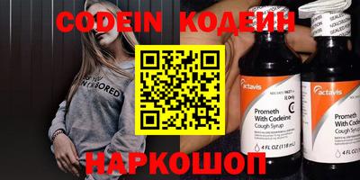 тгк Кингисепп