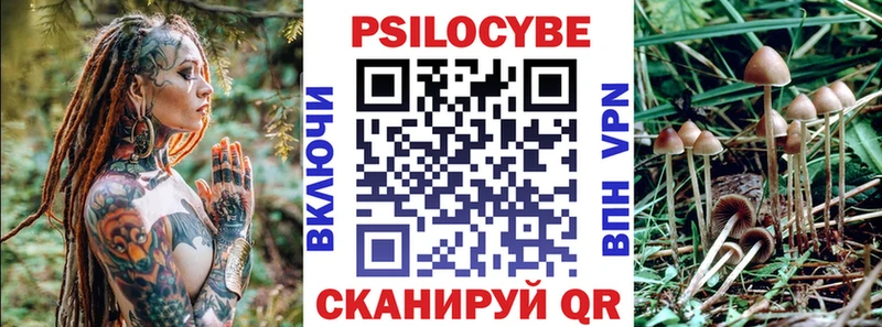 Галлюциногенные грибы мицелий  мориарти клад  Чистополь  купить наркотики сайты  блэк спрут как войти 