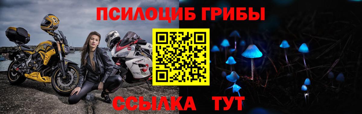 Псилоцибиновые грибы мицелий Чистополь
