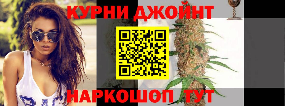 Марихуана сатива  Вход с VPN  Бошки марихуана Amnesia  Шишки марихуана Bruce Banner  Чистополь 